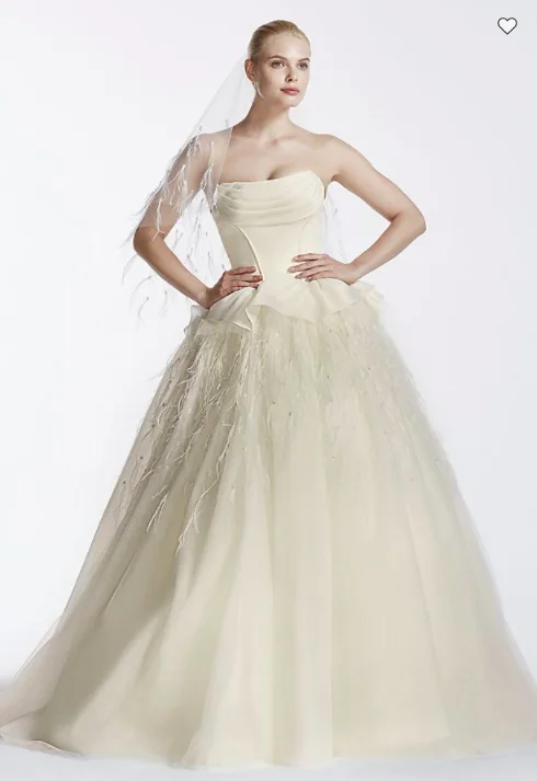 The Best Sale of the Year!Zac Posen Organza