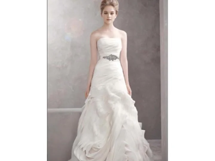 Buy One, Get One Free!Vera Wang Organza Fit and Flare