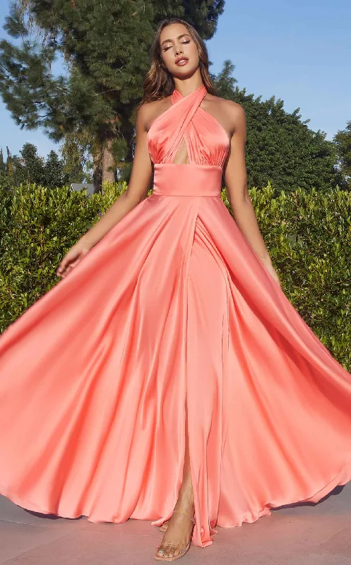 Limited Time Offer!LaDivine CD323 Dress
